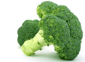 Can dogs eat broccoli? Broccoli showing in image