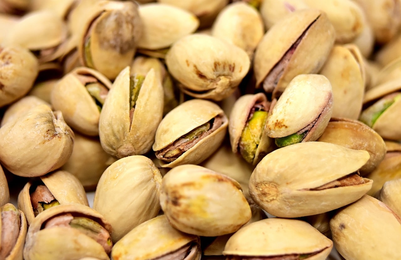 Can dogs eat pistachios