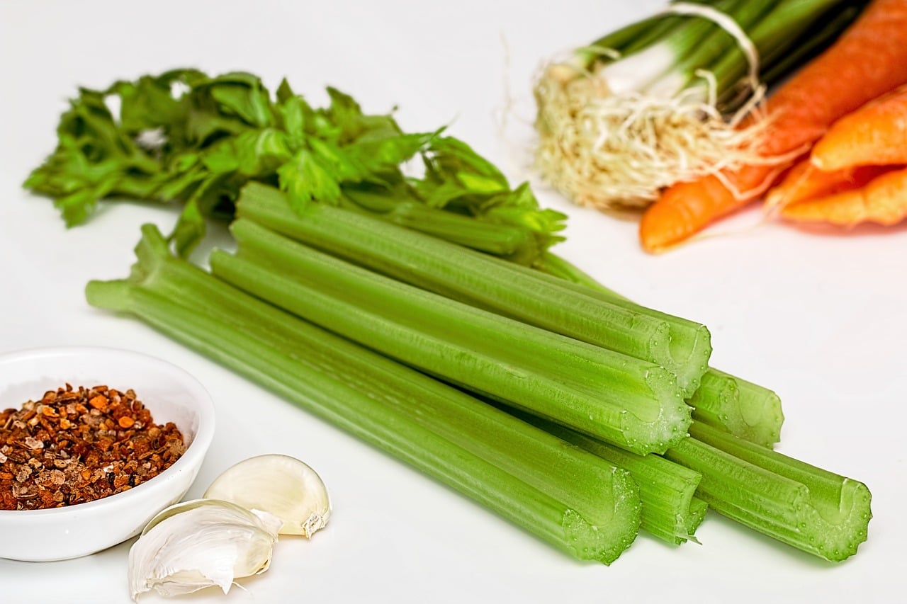 Can dogs eat celery