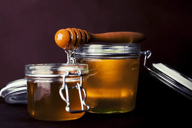 Can dogs eat honey