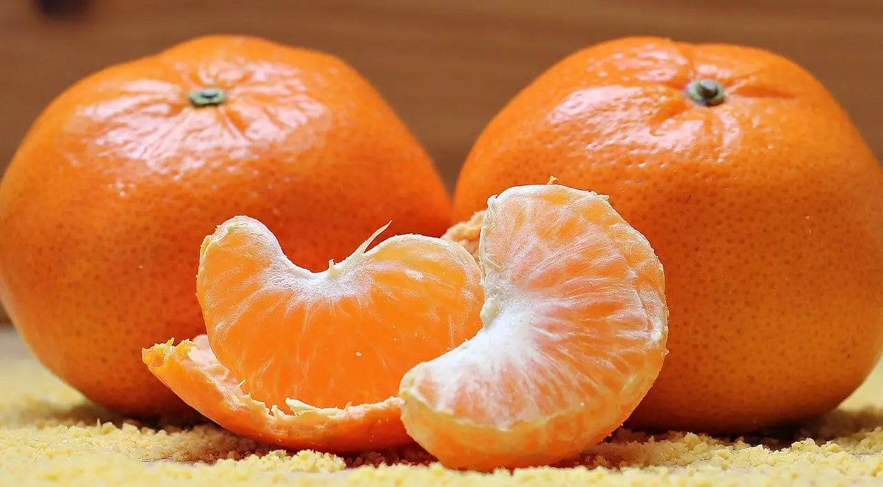 Can dogs eat clementines