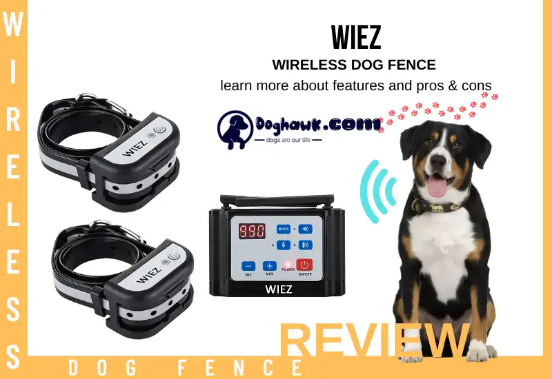 WIEZ Wireless Dog Fence 