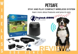 PetSafe Stay and Play Compact Wireless System