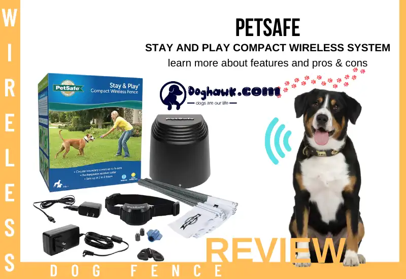 PetSafe Stay and Play Compact Wireless System