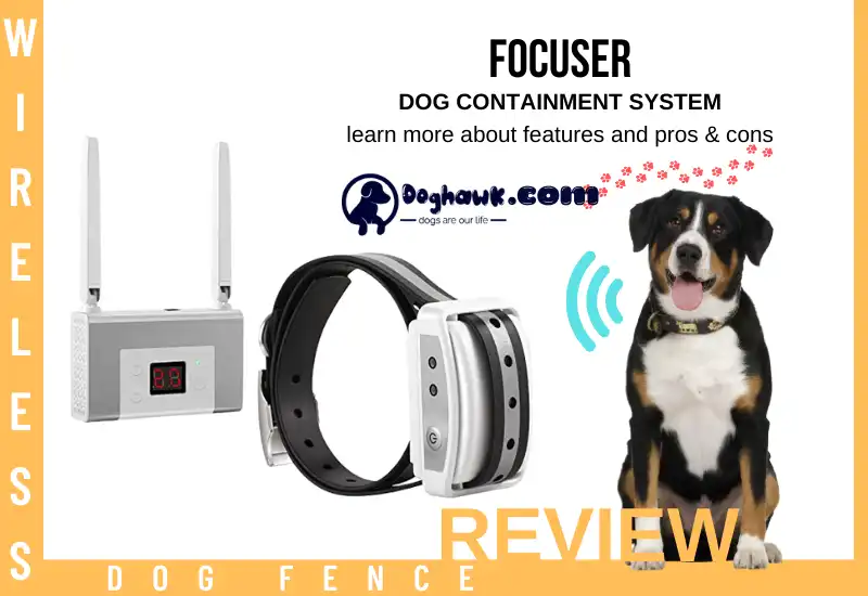 FOCUSER Dog Containment System