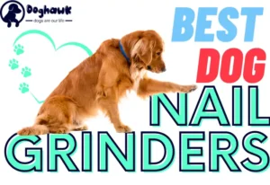 Best Dog Nail Grinders in 2022