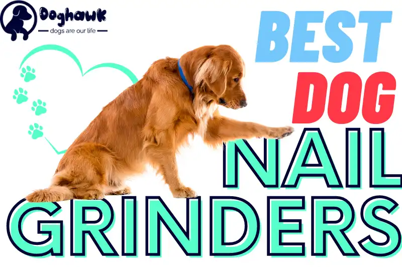 7 Best Dog Nail Grinders in 2023 (Reviews and Top Picks)