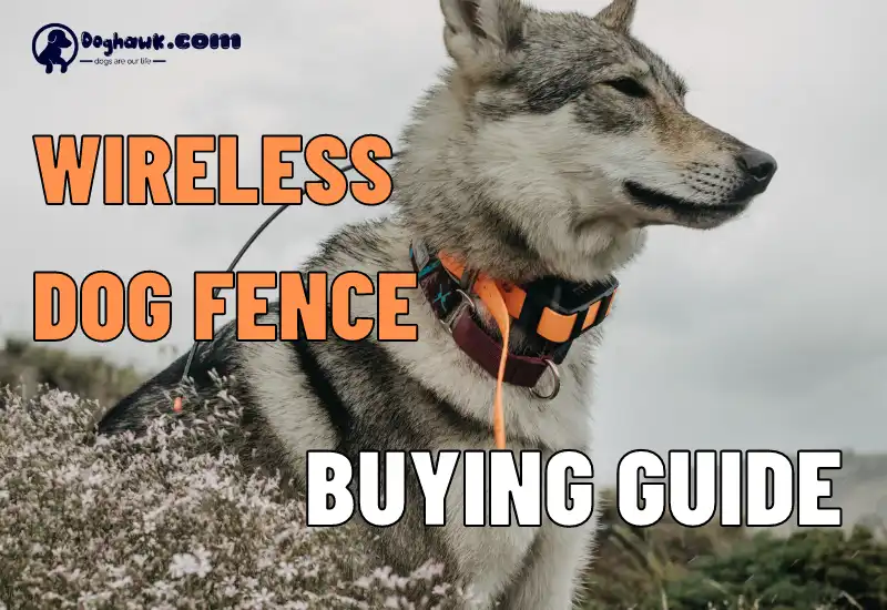 Buying Guide for Wireless Dog fence for users