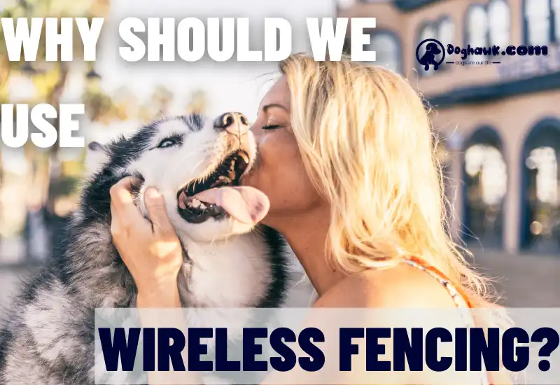 WHY SHOULD WE USE WIRELESS FENCING