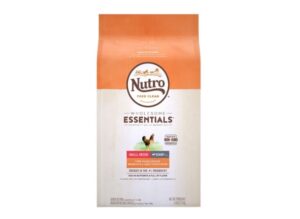 NUTRO Wholesome Essentials Dry Food- Best Natural Adult Dog Food