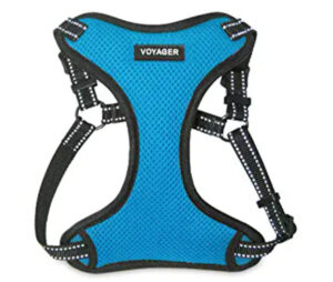 Voyager Step-in Harness