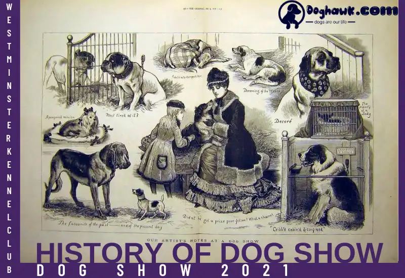 History of Dog Show