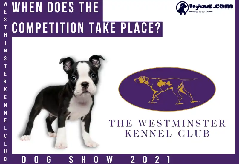 When Does the Competition Take Place