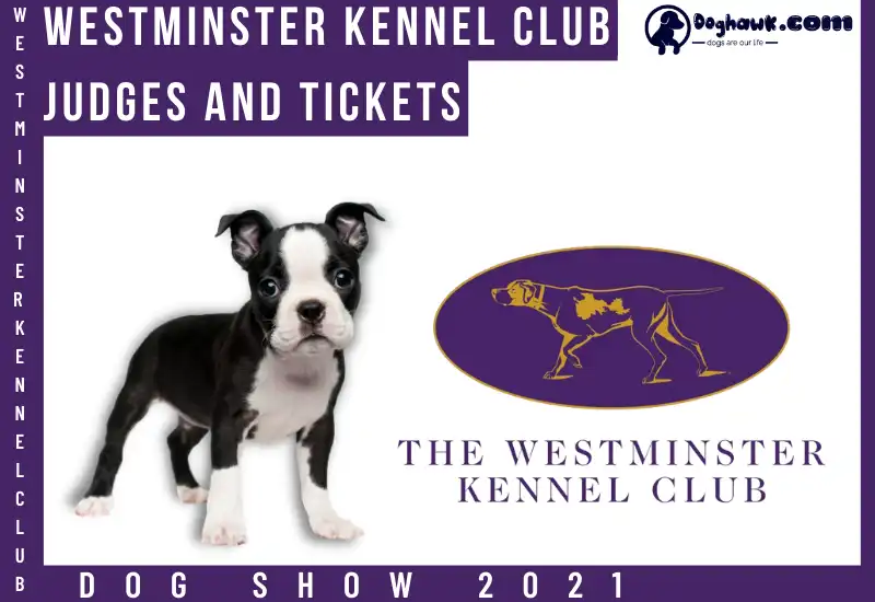 Westminster Kennel Club Judges and Tickets