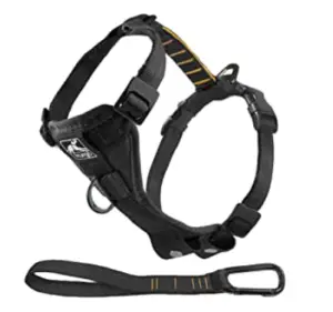 Kurgo Tru-Fit Smart Dog