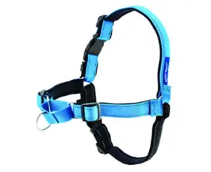 PetSafe, Easy Walk Deluxe Harness-Best For Training