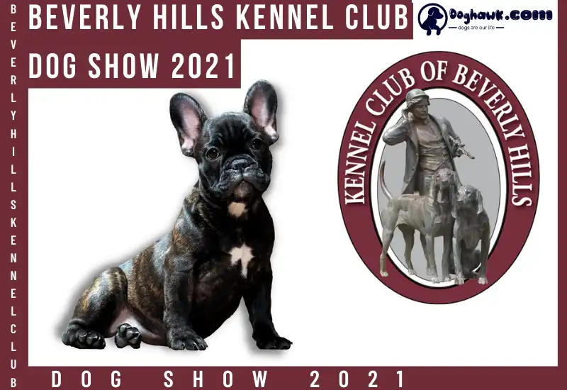 BEVERLY HILLS Kennel Club Dog Show 2021
