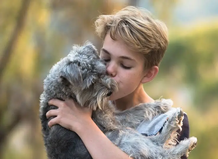dog kissing