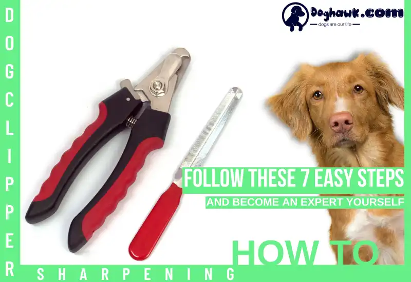 How to Sharpen Dog Clippers