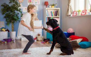best dog for scared child