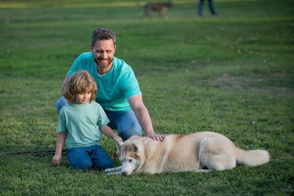 Children dog fear