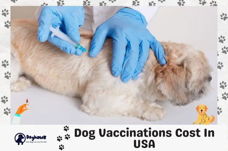 Dog Vaccinations Cost In USA