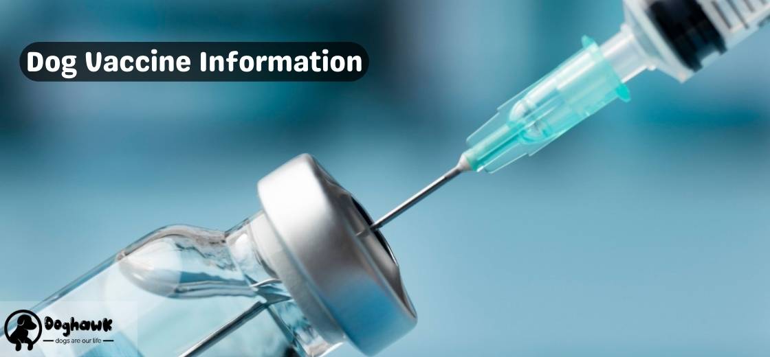 Dog Vaccine Information