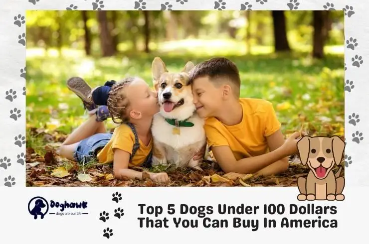 dogs under 100 dollars