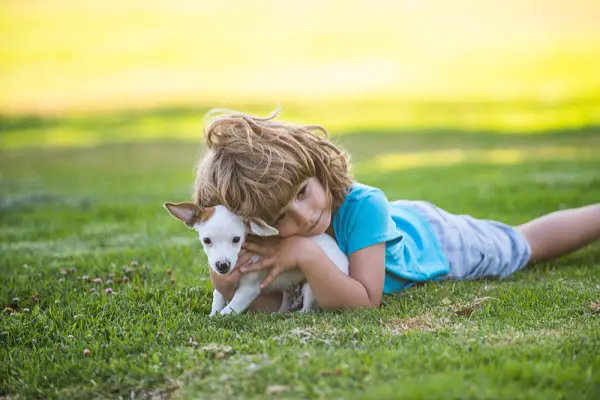 Get Over the Fear of Dogs