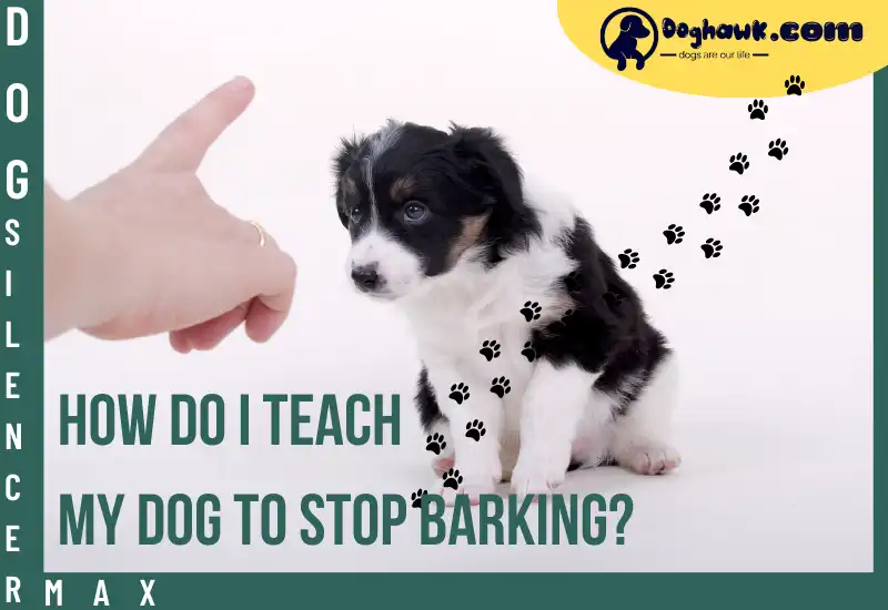 How do I Teach my Dog to Stop Barking