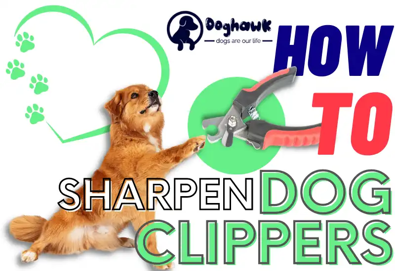 How to Sharpen Dog Clippers (7 Easy Steps)