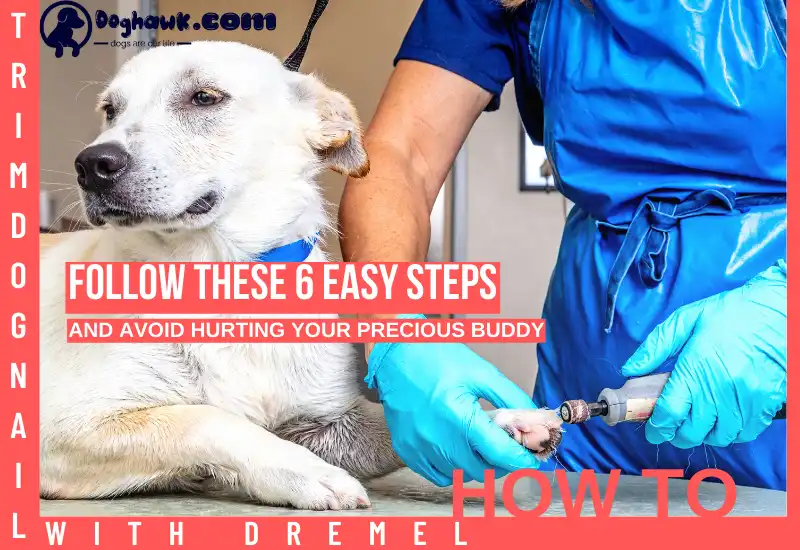 How to Trim Dog Nails With the Dremel