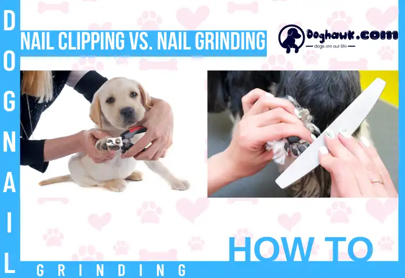 Nail Clipping Vs. Nail Grinding
