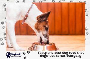 Tasty and best dog food that dogs love to eat everyday