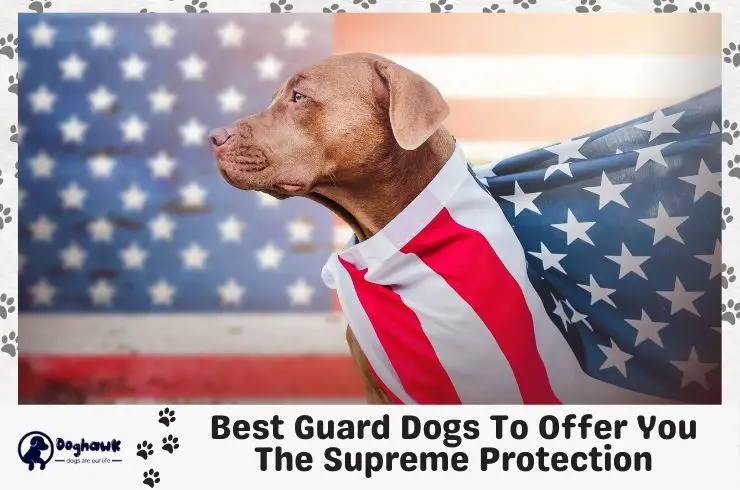 best guard dogs
