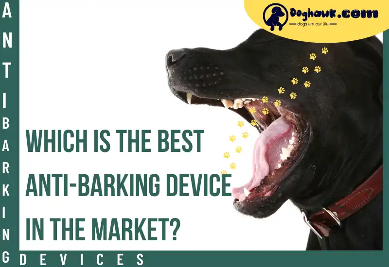 Best Anti-barking Device