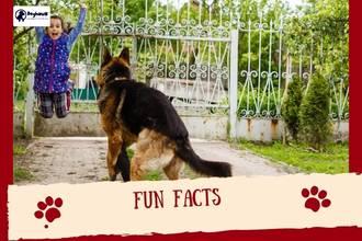 fun facts 