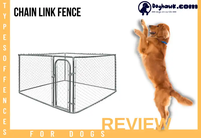 Chain Link Fence