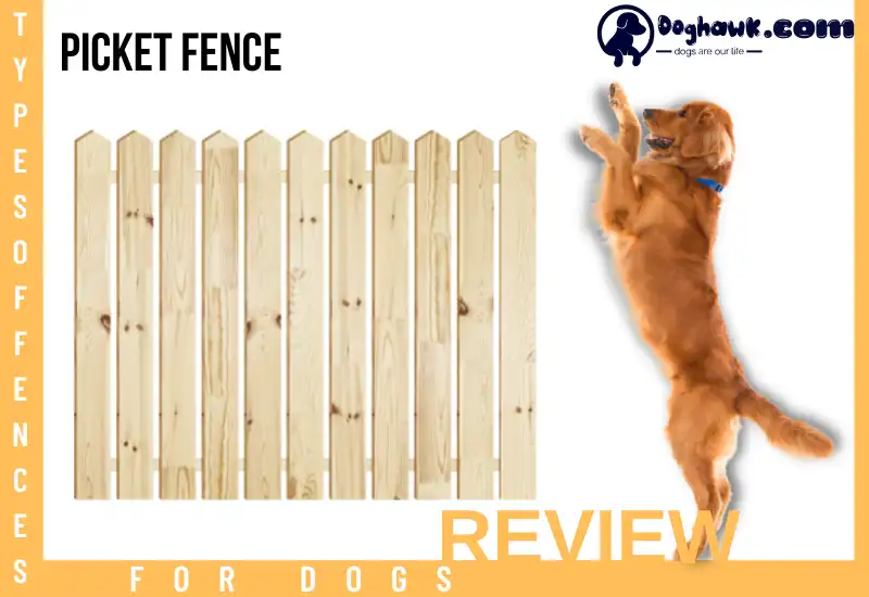 Picket Fence