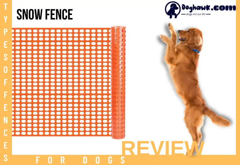 Snow Fence