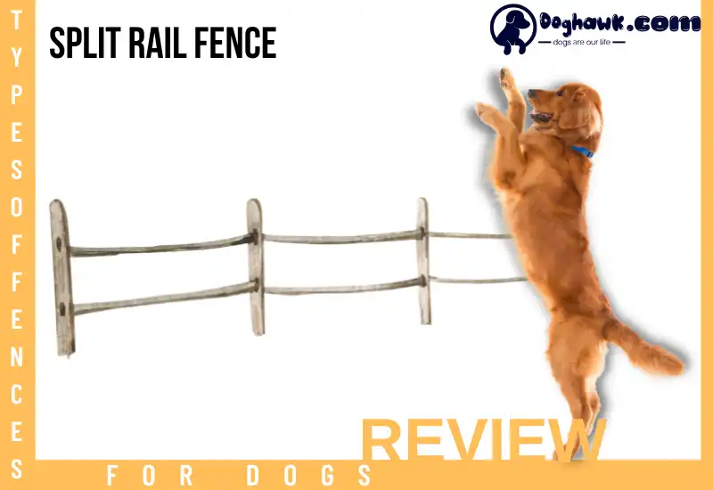 Split rail fence