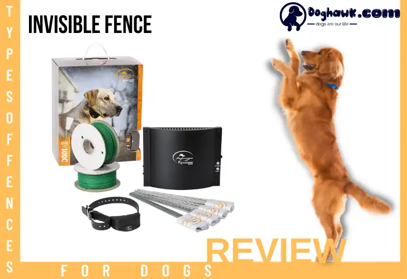 Invisible Fence
