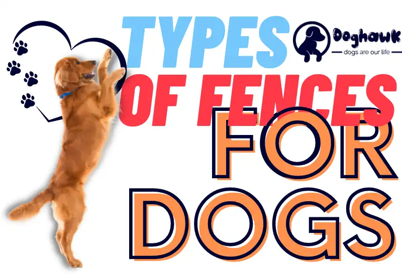 Types of Fences for Dogs