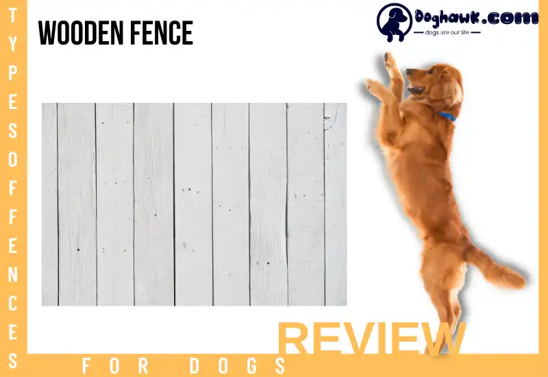 Wooden Fence
