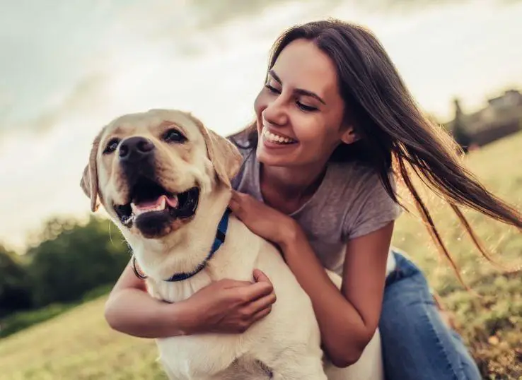 dog owners