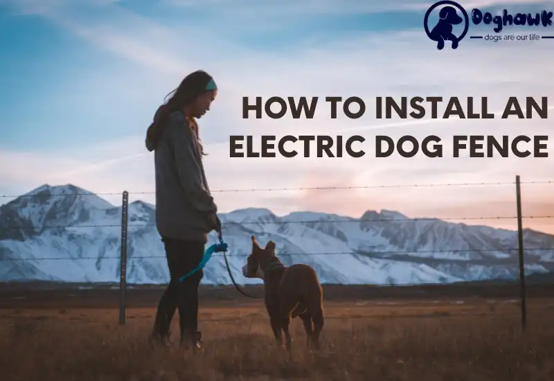 How to Install an Electric Dog Fence