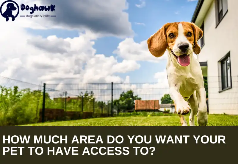 How Much Area do you Want your Pet to Have Access To