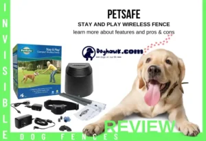 Petsafe Stay And Play Wireless Fence Best Overall