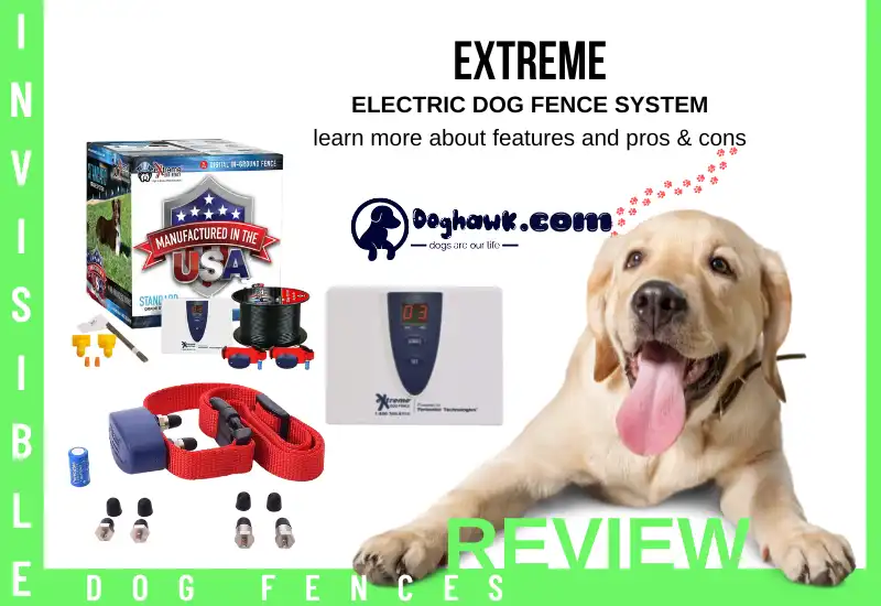 Extreme Electric Dog Fence System