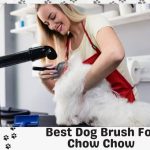10 Best Dog Brush For Chow Chow-no Doubt Your Pet Would Enjoy